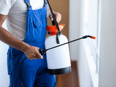 About Manteca Wasp Nest Removal - wasp nest removal experts in Manteca
