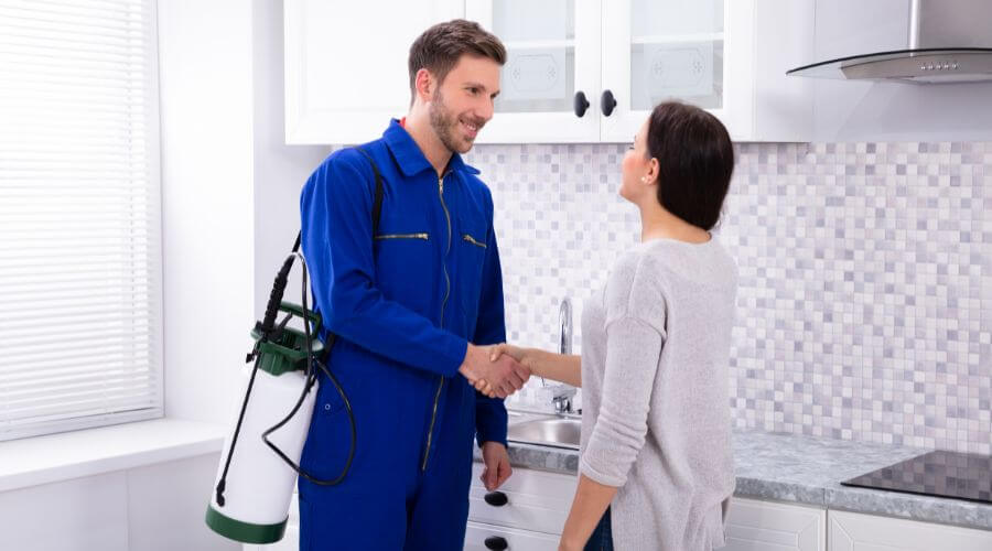Why choose Manteca Wasp Nest Removal for wasp nest removal in Manteca